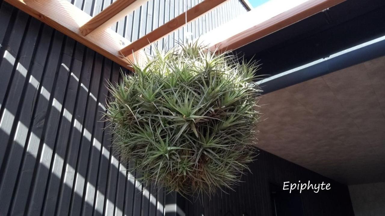 潘波勒Epiphytes Et Succulentes公寓 外观 照片